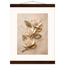 Magnolia Ascent, flowers and botanical. Archival fine art poster shown framed.