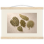 Green Constellation: botanical, green and loose rhythm. Fine art poster.