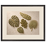 Green Constellation: botanical, green and loose rhythm. Museum-quality framed fine art print.