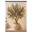 Olive Terrace, landscape and sun. Archival fine art poster shown framed.