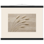 Wheat in Relief: faith, texture and botanical. Fine art poster by The Light Stays.