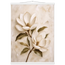 Gilded Magnolia: flowers and botanical. Fine art poster by The Light Stays.