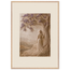 Old Friend, petra and herbarium. Archival framed fine art print shown framed.
