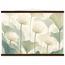 Ivory Lotus Screen: flowers and botanical. Fine art poster, alternate frame and size.