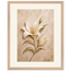 Alabaster Lily: flowers and botanical. Framed fine art print by The Light Stays.