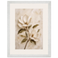 Gilded Magnolia: flowers and botanical. Framed fine art print by The Light Stays.