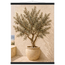 Olive Terrace: landscape and sun. Fine art poster, alternate frame and size.