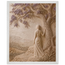 Old Friend: petra and herbarium. Framed fine art print by The Light Stays.