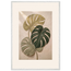 Stone Monstera: botanical and nature. Museum-quality framed fine art print.