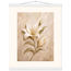 Alabaster Lily: flowers and botanical. Fine art poster by The Light Stays.