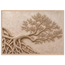 Root Lattice, petra and herbarium. Archival framed fine art print shown framed.
