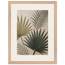 Carved Fronds: impasto, leaves and sand tones. Framed fine art print by The Light Stays.