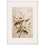 Gilded Magnolia, flowers and botanical. Archival framed fine art print shown framed.