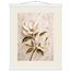 Gilded Magnolia: flowers and botanical. Fine art poster, alternate frame and size.