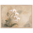 6e753a2b-0f89-4f90-970b-1bcc5b71d409
