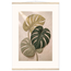 Stone Monstera: botanical and nature. Fine art poster by The Light Stays.