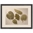 Green Constellation: botanical, green and loose rhythm. Framed fine art print.
