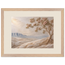 Cliffside Bloom: flowers and botanical. Framed fine art print by The Light Stays.
