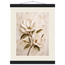 Gilded Magnolia, flowers and botanical. Archival fine art poster shown framed.