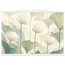 Ivory Lotus Screen, flowers and botanical. Archival fine art poster shown framed.