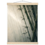 7491ed65-50c8-49af-81ca-f6b081536f08