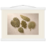 Green Constellation, botanical, green and loose rhythm. Archival fine art poster shown framed.