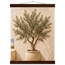 Olive Terrace, landscape and sun. Archival fine art poster shown framed.