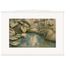 Papyrus Pond, lake, papyrus and serene greens. Archival fine art poster shown framed.