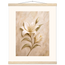 Alabaster Lily: flowers and botanical. Fine art poster, alternate frame and size.