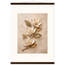 Magnolia Ascent: flowers and botanical. Fine art poster, alternate frame and size.