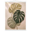 Stone Monstera: botanical and nature. Fine art poster by The Light Stays.