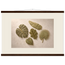 Green Constellation: botanical, green and loose rhythm. Fine art poster by The Light Stays.