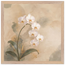 7e593bec-d82f-4ff4-82ca-2115916bea96
