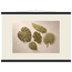 Green Constellation: botanical, green and loose rhythm. Museum-quality fine art poster.