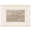 Wheat in Relief: faith, texture and botanical. Fine art poster by The Light Stays.
