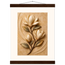 Magnolia Arc: flowers and botanical. Museum-quality fine art poster.