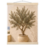 Olive Terrace: landscape and sun. Museum-quality fine art poster.