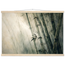 81213615-2f1e-4b69-a4a0-88cbe628ca69
