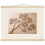 Lilac Reach: flowers and botanical. Fine art poster, alternate frame and size.