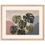 Monstera Sun: botanical and nature. Framed fine art print by The Light Stays.