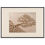 Root Lattice: petra and herbarium. Framed fine art print, alternate frame and size.