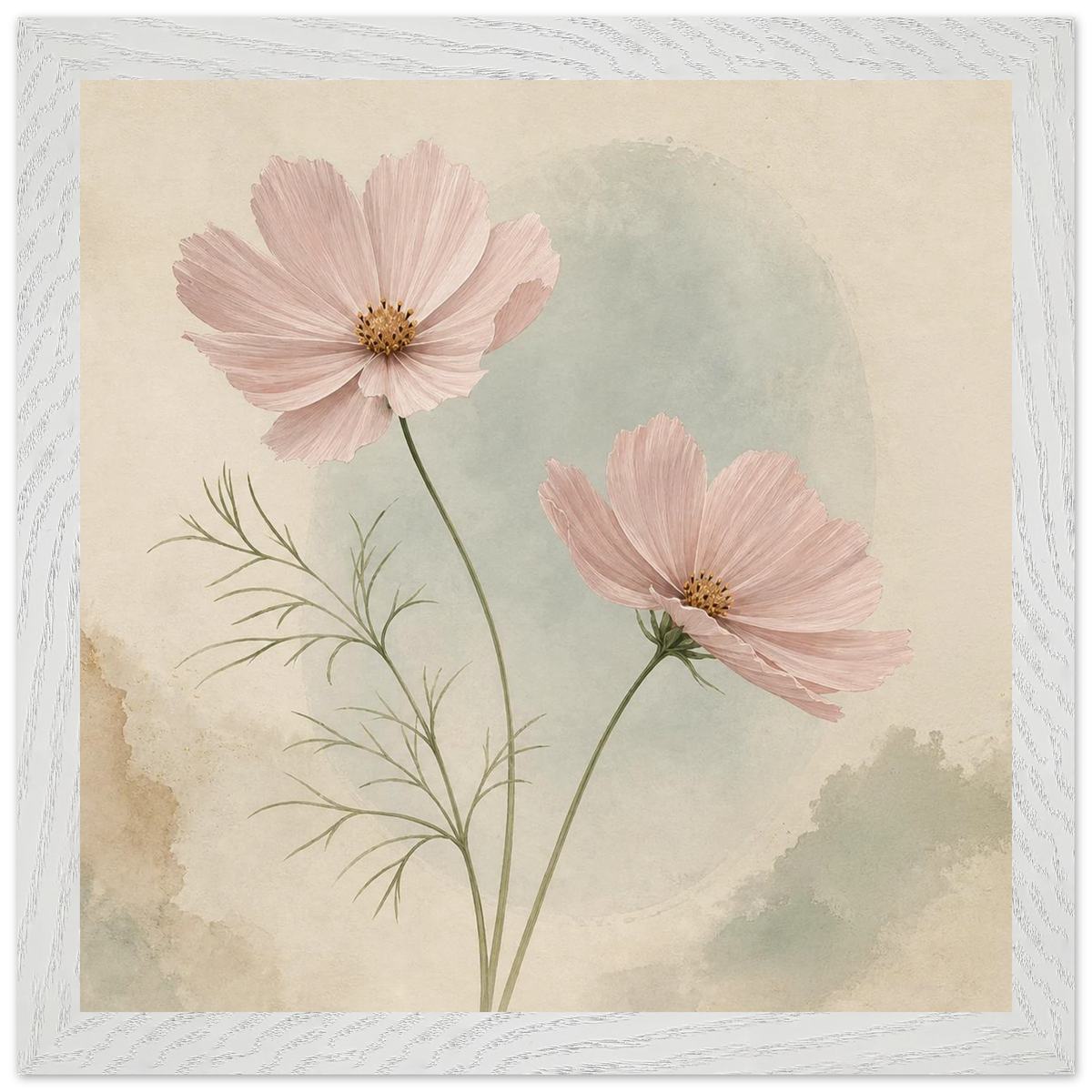 Cosmos Unison: flowers, blush and celadon. Framed fine art print by The Light Stays.