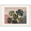 Monstera Sun, botanical and nature. Archival framed fine art print shown framed.