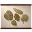 Green Constellation, botanical, green and loose rhythm. Archival fine art poster shown framed.