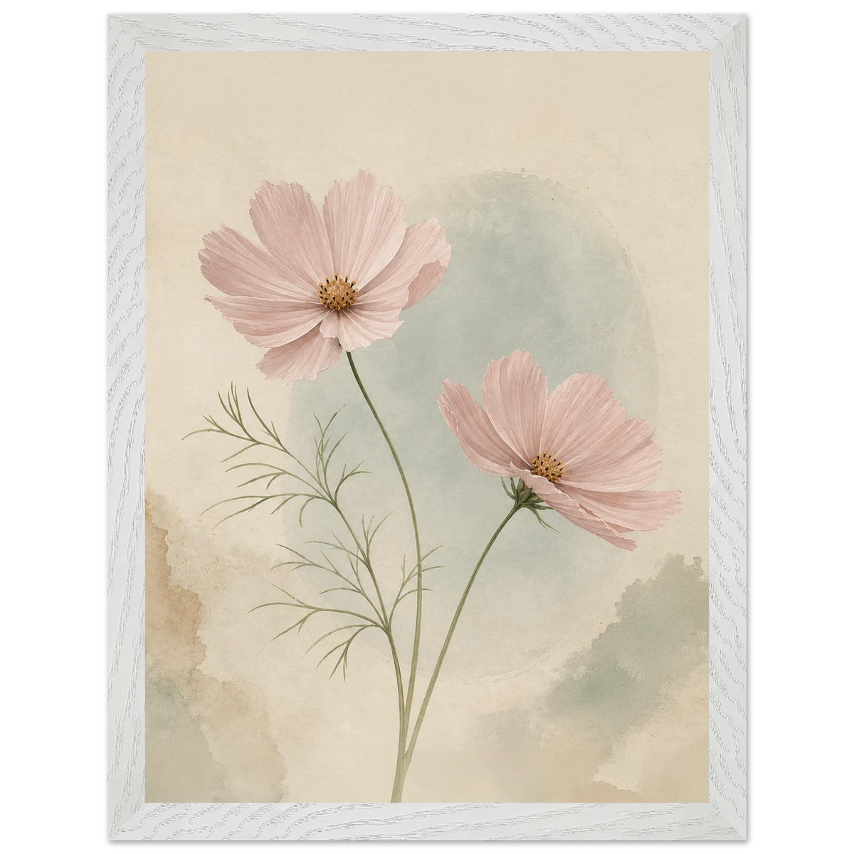 Cosmos Unison: flowers, blush and celadon. Framed fine art print by The Light Stays.