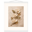 Magnolia Ascent: flowers and botanical. Fine art poster, alternate frame and size.