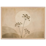 8c294701-778d-42c5-89a7-fc3bee52c8f8
