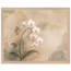 8d01951b-4a68-4e88-b03f-7bcc43be35e3