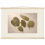 Green Constellation: botanical, green and loose rhythm. Fine art poster, alternate frame and size.