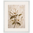 Gilded Magnolia: flowers and botanical. Museum-quality framed fine art print.
